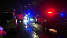 Man accused of murdering wife and two sons in Sydney’s south-west