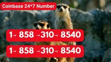 {8O8}~Fu**™ List Of Co.inBase™ CUSTOMER™ SUppOrT™ Numbers In USA: An Updated Official Guide-26