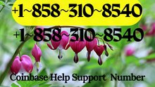 【Coinbase®】Customer- Service.Support } Number - Complete Guide to Live Chat,, and 24/7 Service Care℗ WALLET SUPPORT