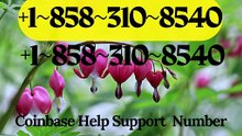 ≋ F⇢ullⓃⓃ{ {CoMpLeTe%List}} of Official Coinbase SuPpOrT™ Toll-Free Numbers &Wallet Options