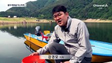 소양호 덮친 붕어 집단 폐사…왜?