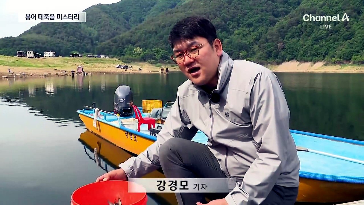 소양호 덮친 붕어 집단 폐사…왜?