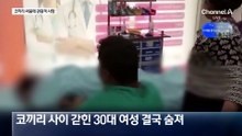 인도 관광지서 코끼리 몸싸움…사이에 갇힌 관광객 사망