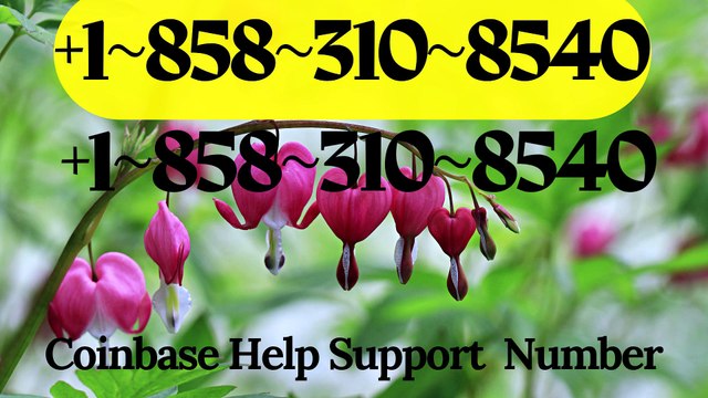 【Verified☛{BIG}】☛❖❖CoinbaseⓃⓃ CUSTOMER© WaLlEt© Care℗ (Toll Free Number Support) Numbers