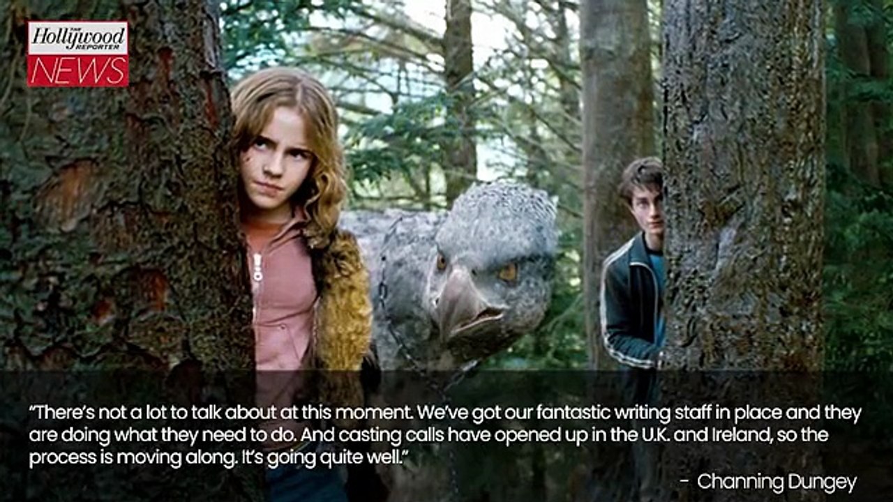 'Harry Potter' Series Will be "More In-Depth" Than the Films, Says Warner Bros. TV Boss | THR News Video [Full Movie]