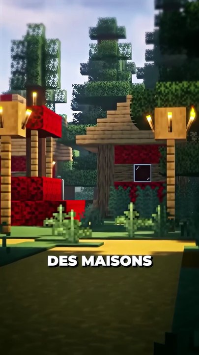 🤔 Donne ton avis en commentaire ! #minecraft