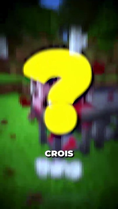 🤔 Donne ton avis en commentaire ! #minecraft