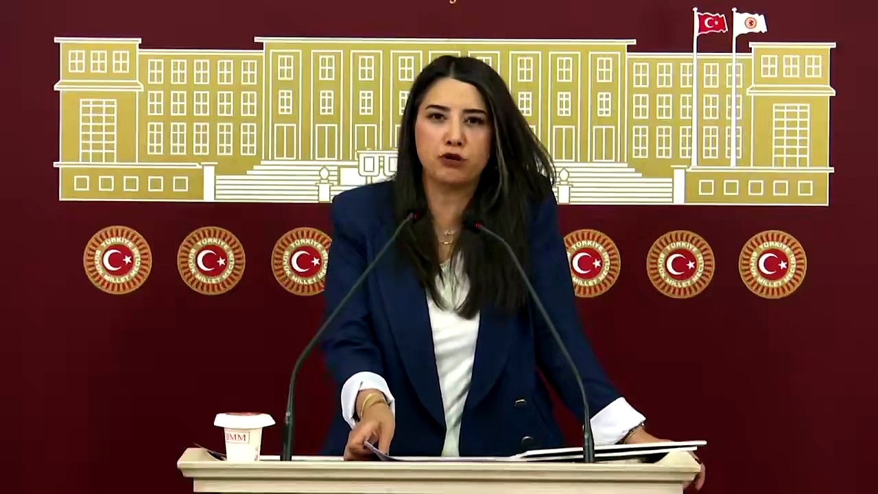 Dem Partili Milletvekili Birecik’teki Doğalgaz Sorununu TBMM’de Gündeme Getirdi