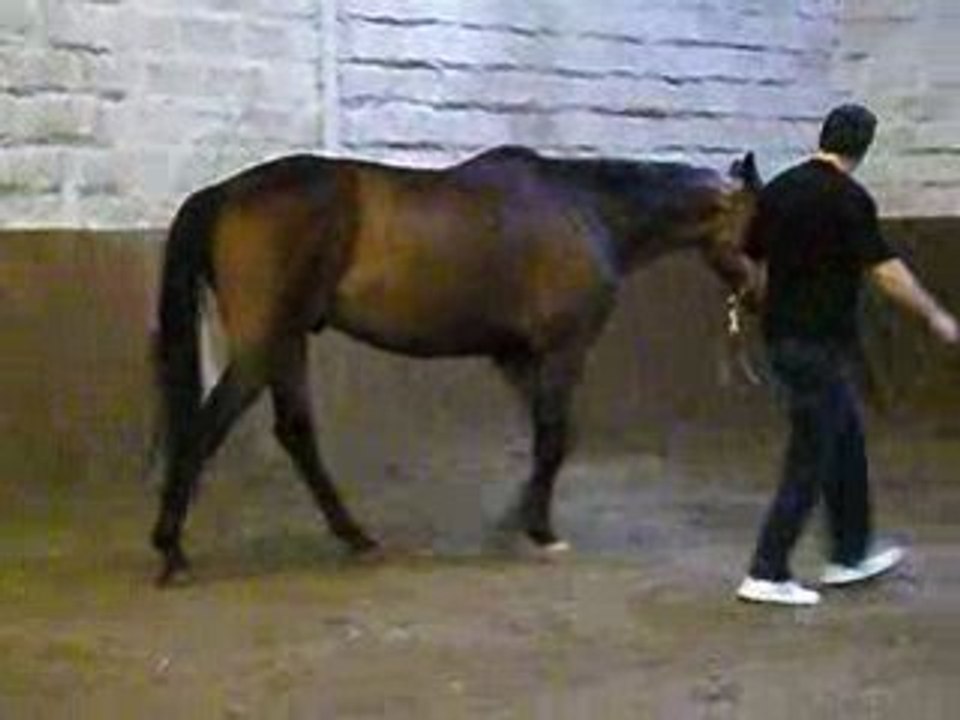 IMGP0114