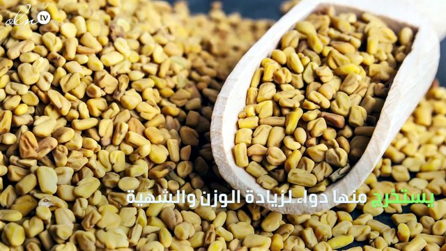 خبراء ينصحون بتناول الحلبة لهذه الأسباب!