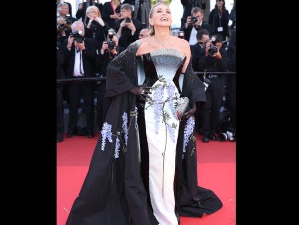 In dieser Robe zieht Sharon Stone alle Blicke auf sich