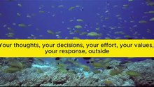 Stop Wasting Energy on What You Can't Control
