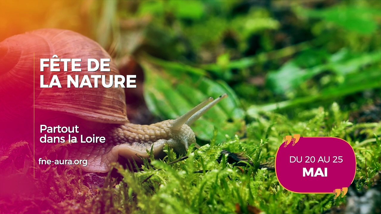 Agenda des Sorties du 20 au 22 mai 2026
