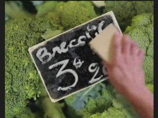 Bio attitude sans béatitude 1.3