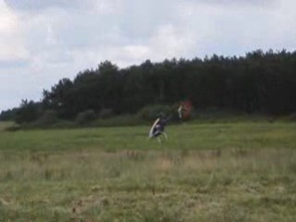 TREX 500 - translations - DESMO4