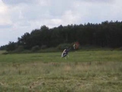 TREX 500 - translations - DESMO4