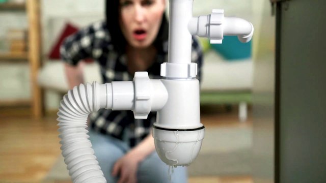 Stop Hidden Water Damage Before It Becomes Mold — Green Planet Restoration