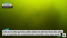 El vídeo de la sopa verde que hizo saltar todas las alarmas hace diez años