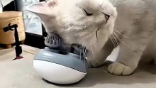 These viral comedy moments are too funny to ignore 🤣