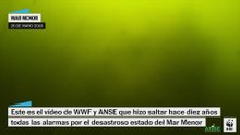 El vídeo de WWF y ANSE de la sopa verde en el Mar Menor en 2016