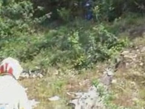 Gatinais 14 juin par vv75