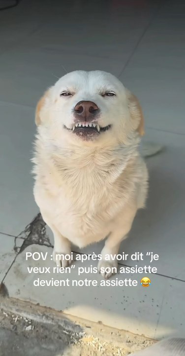 POV 😂