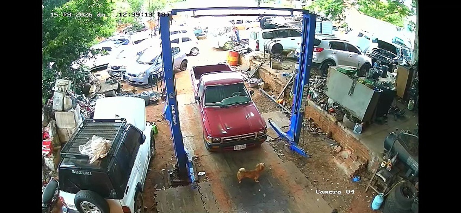WhatsApp Video 2026-05-19 at 1.31.20 PM