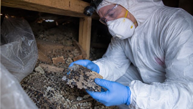 Fatal Hantavirus Incident in Colorado Sparks Alert