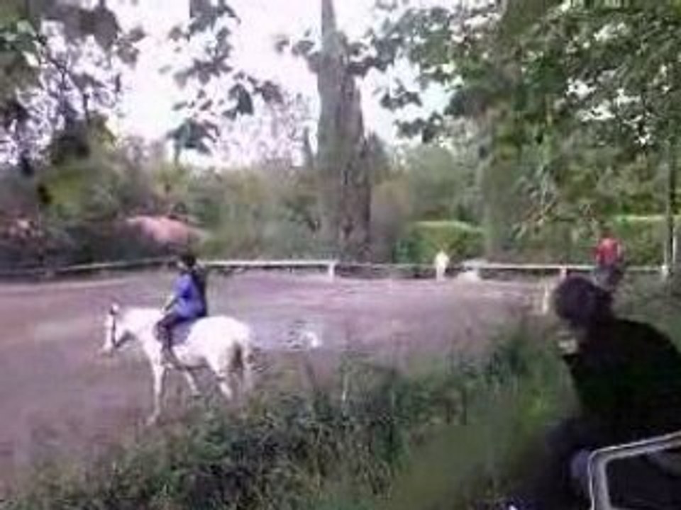 Vidéo-0002