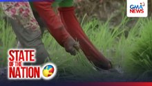 P53/KG, itinakdang SRP ng lokal na bigas | SONA