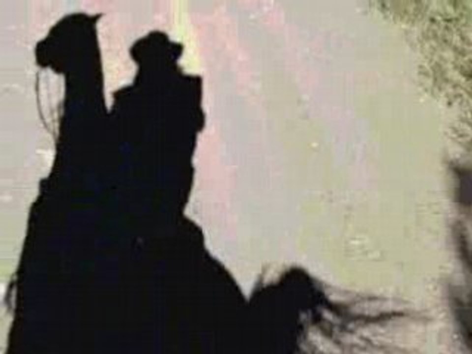 Galop dans l'eau