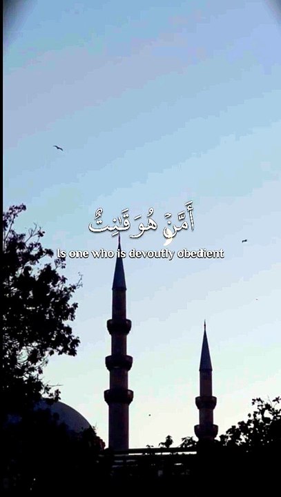 ﴿ أَمَّنْ هُوَ قانِتٌ آناءَ اللَّيلِ ساجِدًا وَقائِمًا يَحْذَرُ الآخِرَةَ وَيَرجُو رَحمَةَ رَبِّهِ ﴾