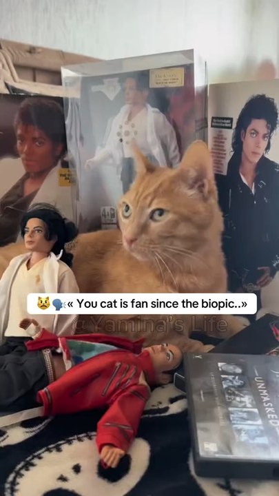 Wait for it…😼