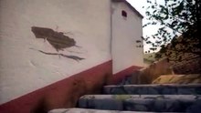 Bilbilis. Visión general del yacimiento