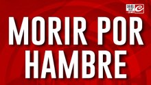 Morir por hambre: quedó atrapado y murió dentro del camión de basura