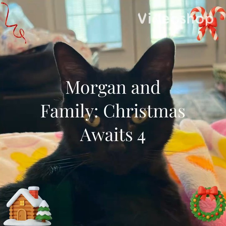 5th Christmas Story: Page 3