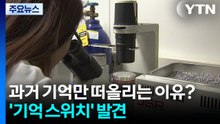 기억 선택적으로 떠올리는 치매...'기억 조절 스위치' 발견 / YTN