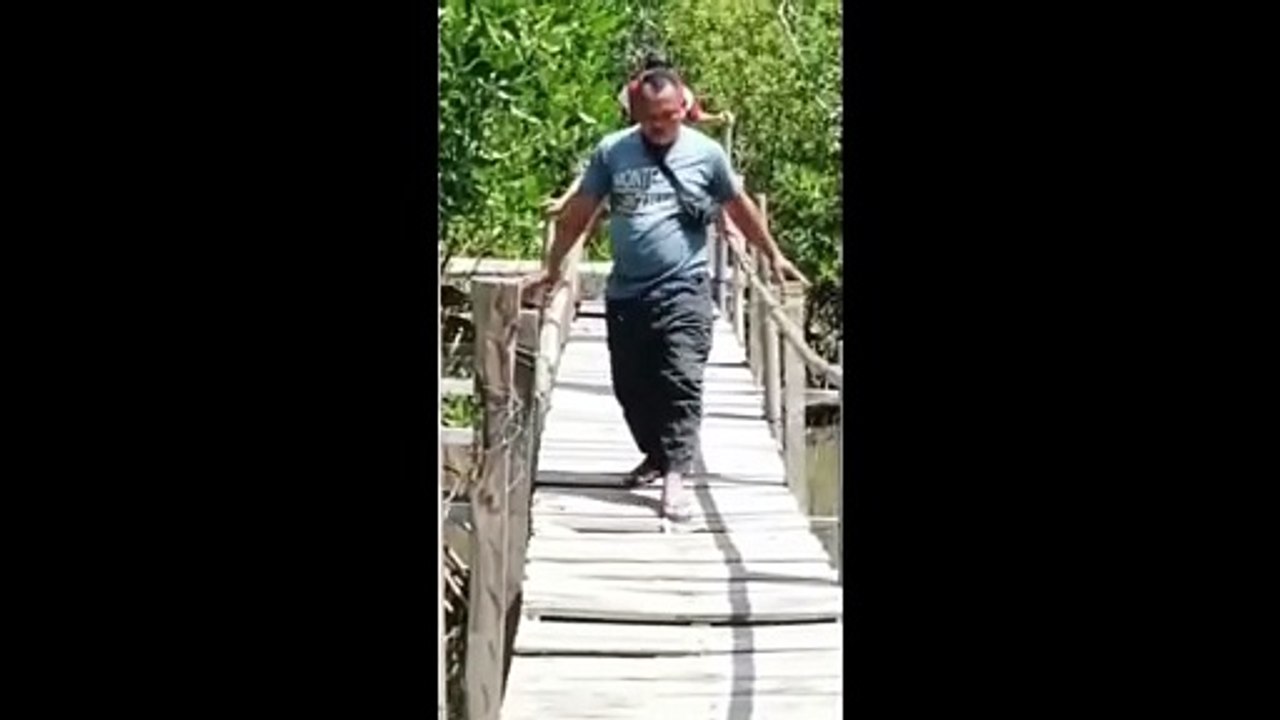 Video Lucu Meme Random #5