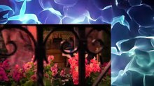 Days of our Lives 5-19-26 (19th May 2026) 5-19-2026 DOOL 19 May 2026