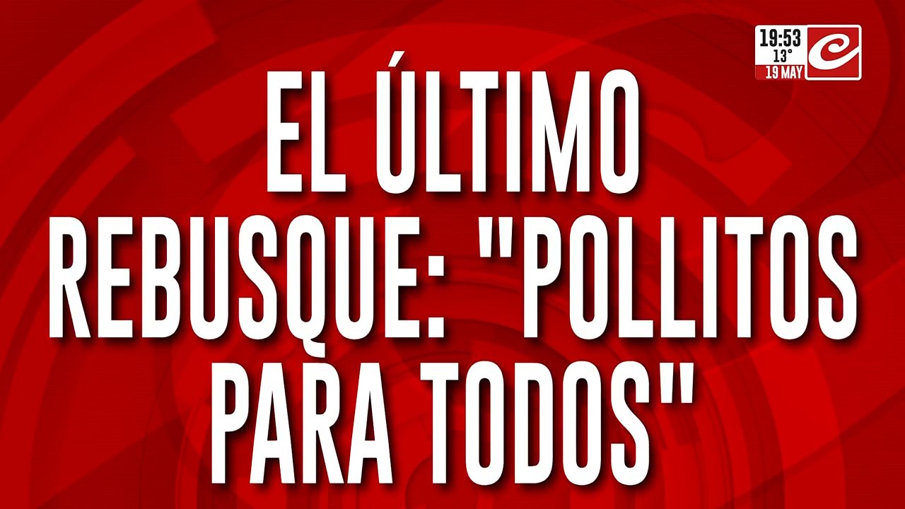 El último rebusque: "Pollitos para todos"