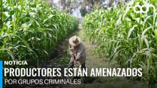 ¿Por qué cada vez cuesta más comer? El crimen organizado detrás del alza de precios