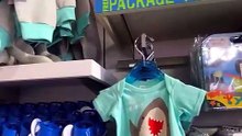 Descubre la nueva merch de Shark Encounter 👕🦈