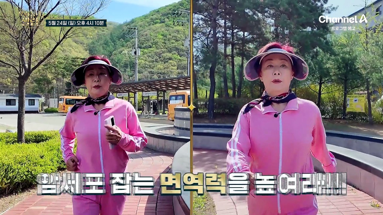 [예고] 암세포를 공격한다? 암세포 잡는 면역력을 높여라!