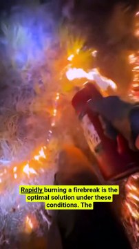 Firefighters start bigger fires to stop wildfires—here's the science! 🔥🚒 #Wildfire #Firefighters