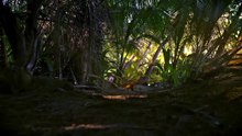 Watch The Dinosaurs Season 1 Episode 1 Full Episode HD Online 2026