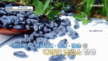 하스카프베리 먹고 '당뇨' 걱정 지웠다?! 혈당 관리 도움 주는 필수템 등극!