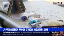 La progression d'Ebola inquiète l'OMS