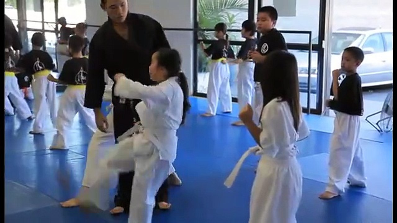 Hapkido