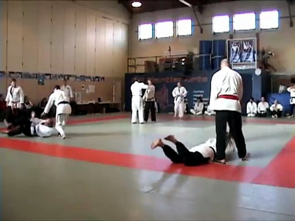 Hapkido