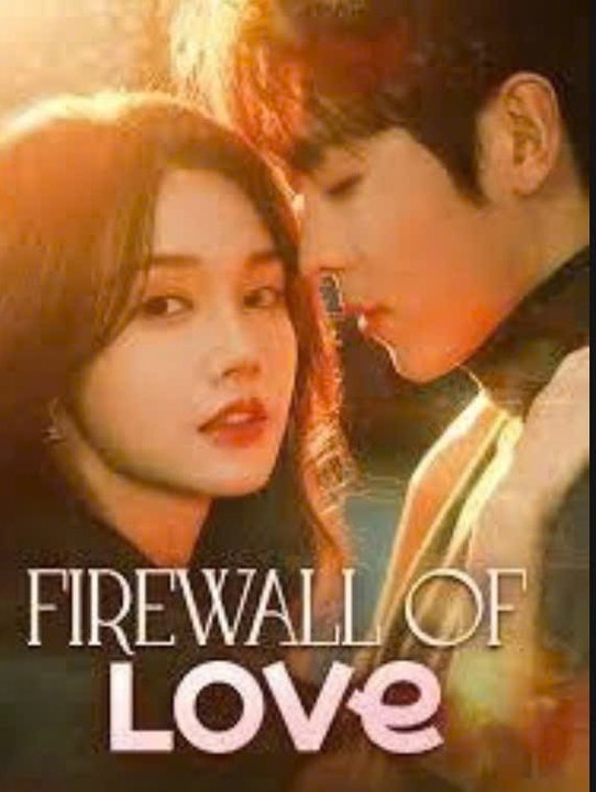 Firewall Of Love Engsub